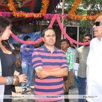Namitha New Movie Opening - Pictures | Picture 122365